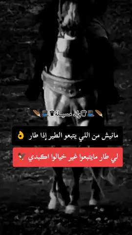 #لمسيلي_28✌__تجور___♥️ #الجلفة_المسيلة_بوسعادة_وتحيا48_ولاية #الجلفة_المسيلة_بوسعادة_وتحيا48_ولاية #قالو_ناس_زمان #الشعب_الصيني_ماله_حل😂😂 