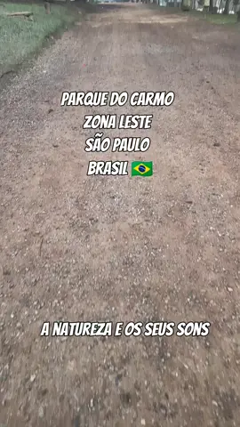 Parque do Carmo, trilha próximo á entrada do Sesc. Você consegue ouvir os pássaros, pela manhã ouve eles cantar bem alto ❤️. #parquedocarmo  #parquesdesp  #zonalestedesaopaulo  #passeiossp 