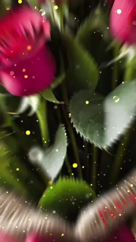 #деньнародження🥳❤ 