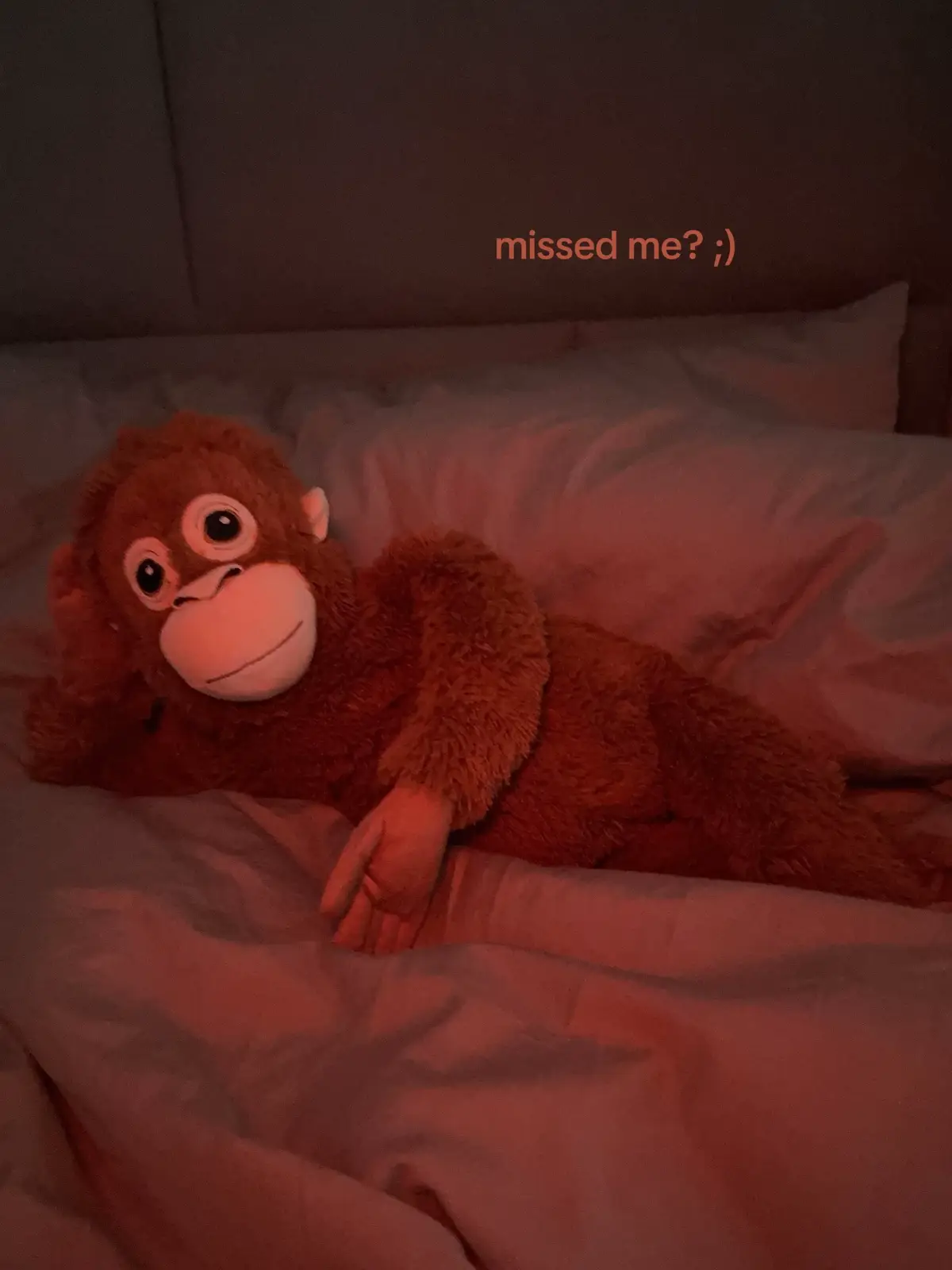 #monkey #ikea #ikeamonkey #foryou 