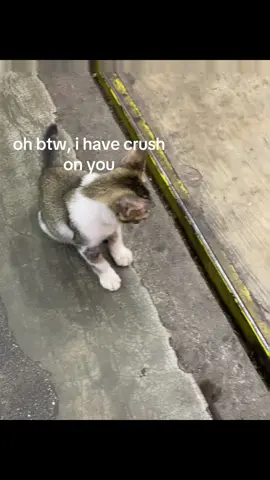 HSHSHSHHSH #4u #crush 