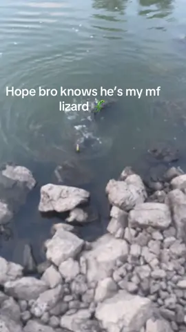 Realest lizard #fyp #meme #lizard #fishing #fishingtok #fishingtiktoks 