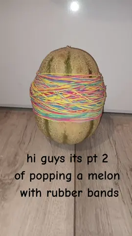 pt of popping a watermelon with rubber bands.