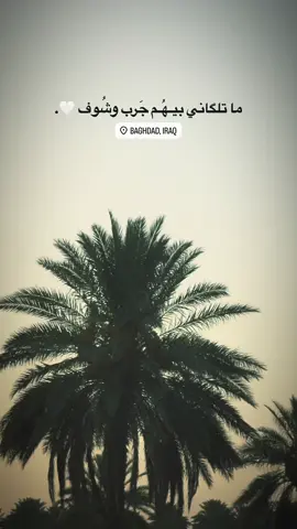 جرب وشوف 🤍. #تصويري_احترافي_الاجواء👌🏻🕊😴 #تصاميم #ترندات_تيك_توك #fypシ #fyp #محضوره_من_الاكسبلور_والمشاهدات #اكسبلور #الشعب_الصيني_ماله_حل😂😂 #explore 