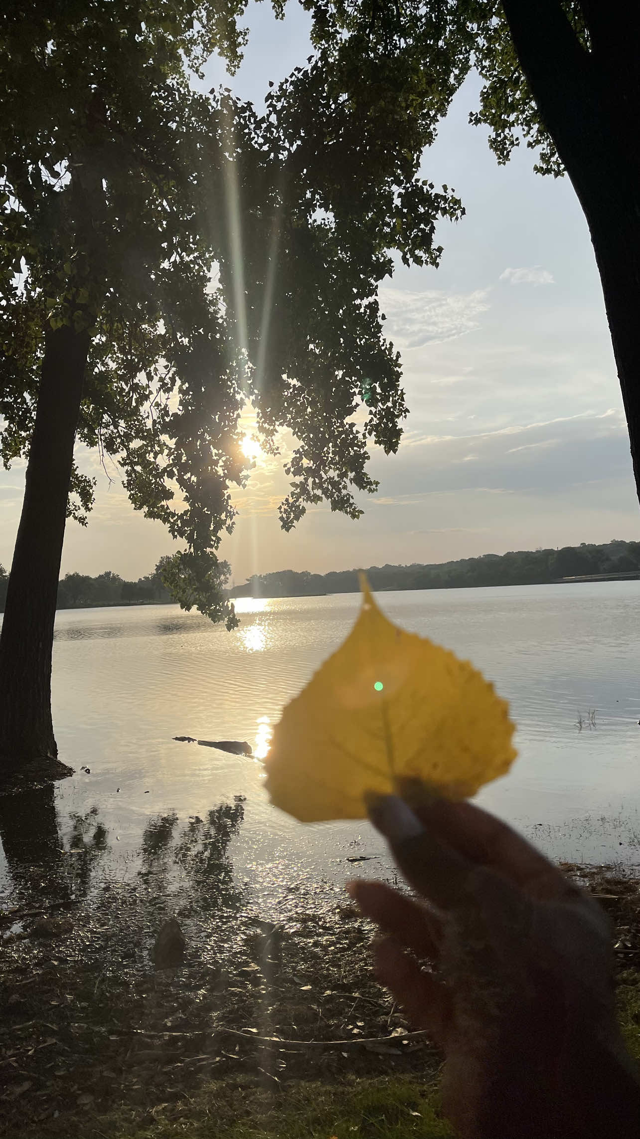 #morning #morningwithoutkids  #weekend #saturday #walk 