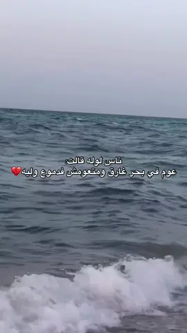 #بنغازي_ليبيا🇱🇾 #طرابلس #طبرق #العربان_الجبل_الغربي #المغرب🇲🇦تونس🇹🇳الجزائر🇩🇿 #مالي_خلق_احط_هاشتاقات #ppppppppppppppppppppppp #اكسبلور 