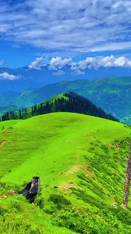#naturilover🏞🌦💫🌻💜 #kashmir_view💁💁 #fypシ゚viral🖤tiktok☆♡🦋1millionviewsmyvideo #14august @TiktokPakistanOfficial 