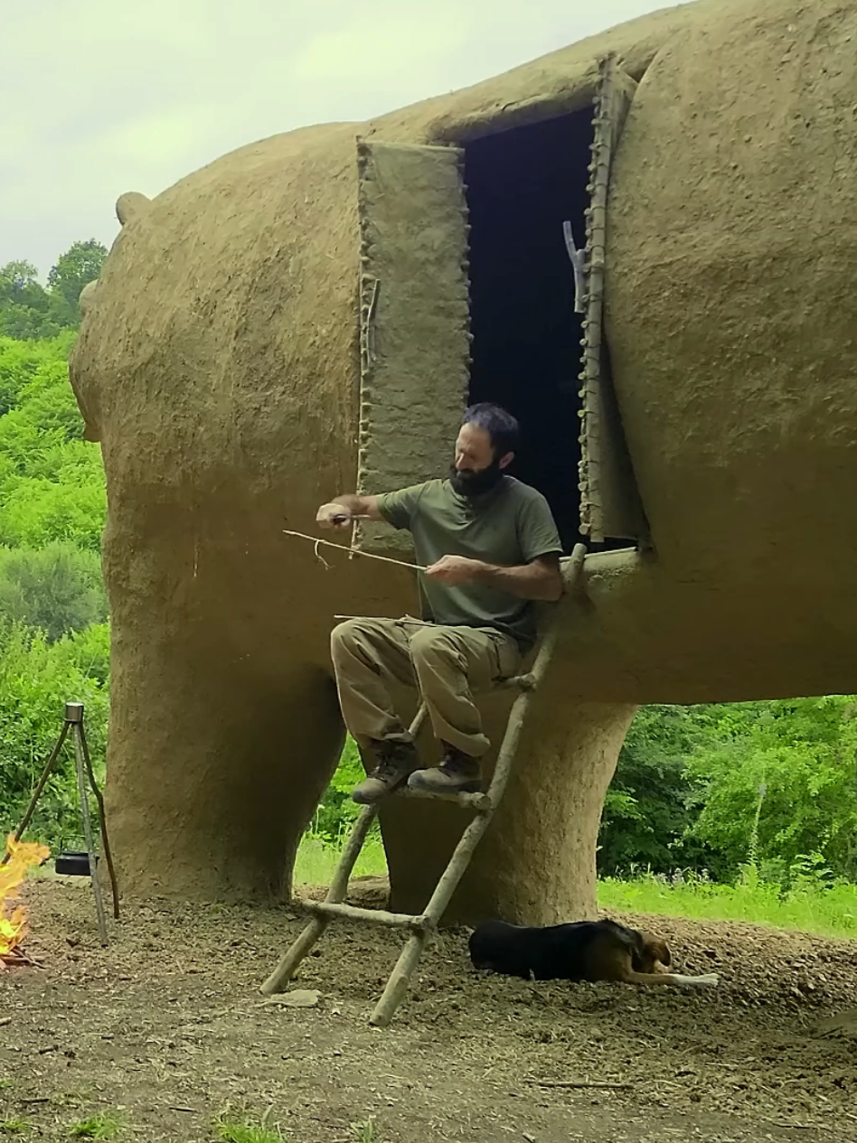 I build a weird bear shelter #survival #bushcraft #travel #2025 #camping #camping24hs #Outdoors 