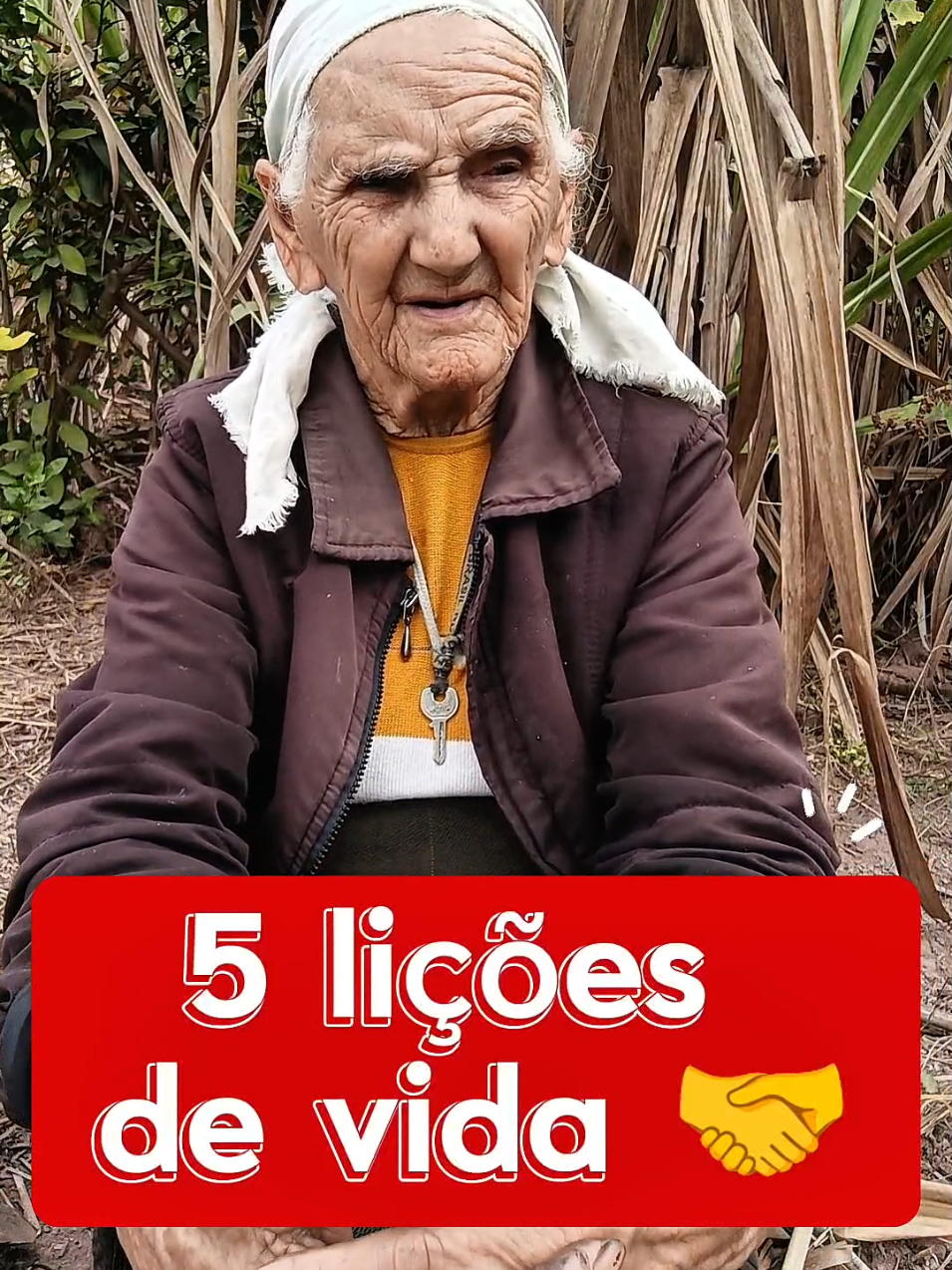 Lições para vida! #licoesdevida #vó #roça #coraçao #fyppppppppppppppppppppppp 