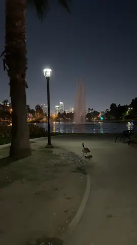 #losangelesskyline #laviews #laviewsatnight 