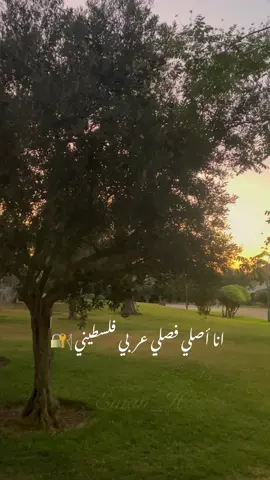 الارض ارضي والناس ناسي 𓂆🔐#زريف #@Zaref #الارض #فلسطين #abujumaa_music #zaref #فلسطين #غزة_العزة🇵🇸 #✌️ #تصميم_فيديوهات🎶🎤🎬 #اviral #اكسبلووووووررررر🙂🖐🏻💜 #الشعب_الصيني_ماله_حل😂😂 #hamza_namira #امريكا #ام #طبيعة #فلسطين #فلسطين_لبنان_سوريا_اليمن_مورتانيا #ترند 