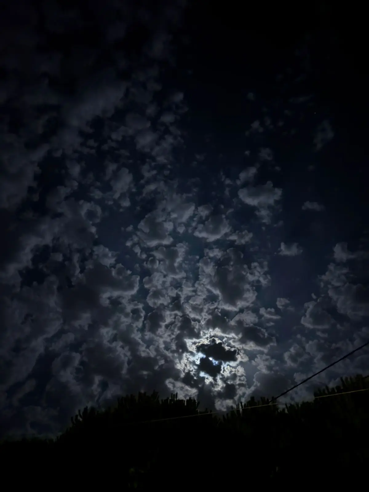 #fyp #tiktok #searchinsightcreators #❤️ #viral #viralvideo #fypシ゚viral🖤tiktok 