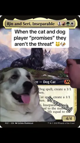 When the cat and dog player is a liar 🐶🐱 #mtg #mtgtiktok #mtgcommander #mtgcommunity #mtgfam #mtgcards #mtgedh #magicthegathering 