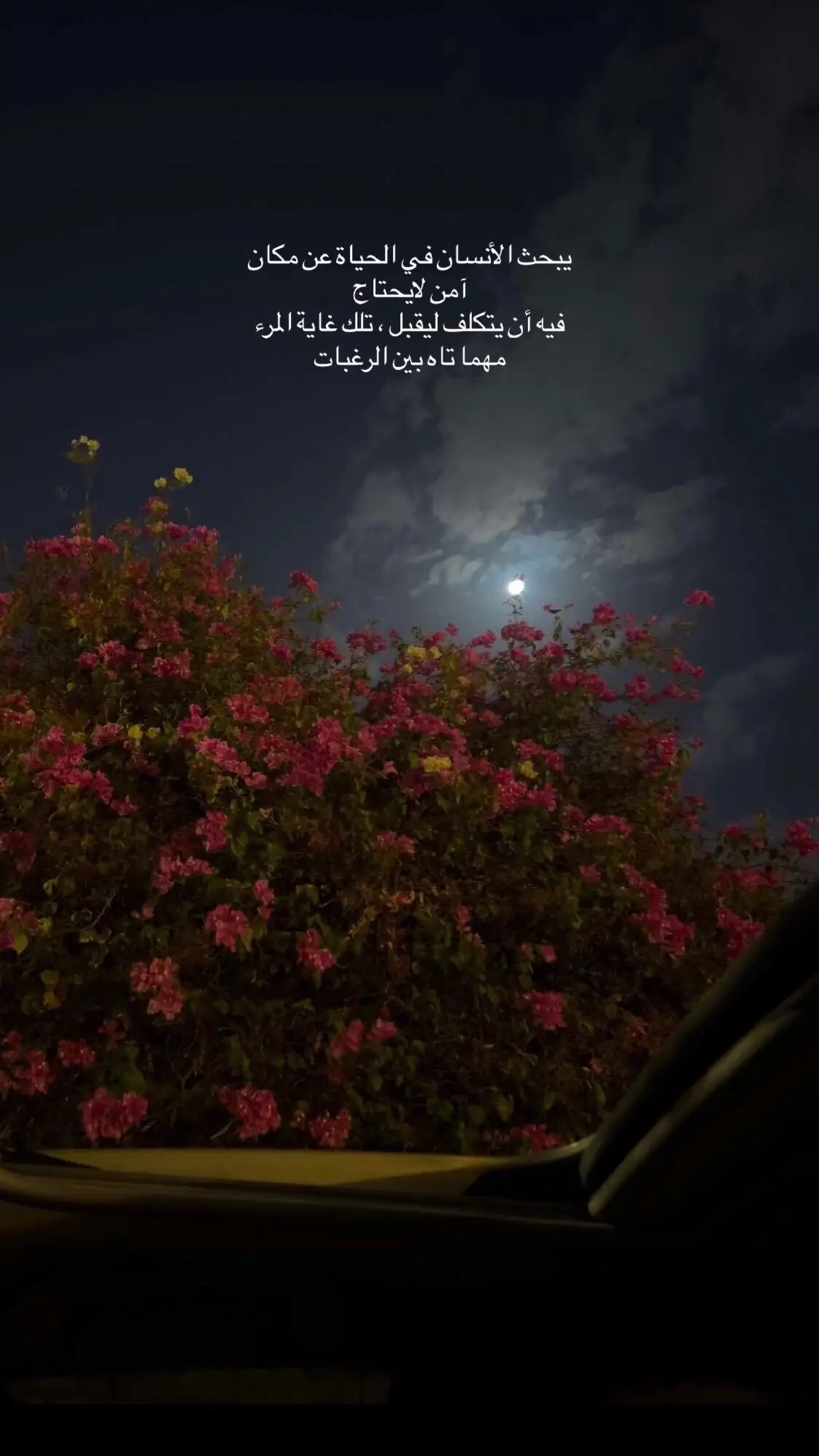 ما أجمل هدوء الليل في ليلة فيها القمر يعانق السماء#أقتباسات #مساء_الروقان 