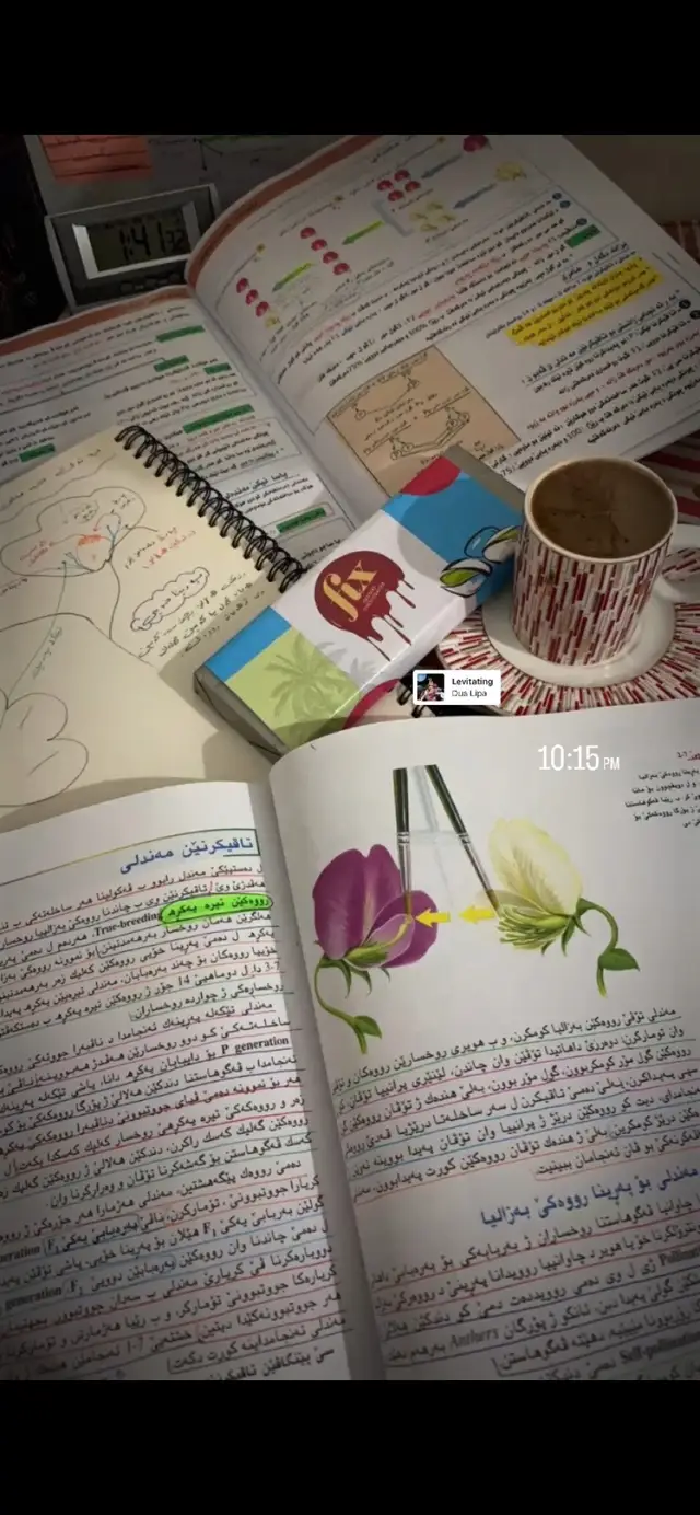 #sil4v_h#grade12#fyp#viral#foryou#لقطة_فائقة_الثبات#hi#foryoupage#zaxo_duhok_hewler_slemani_hawler 