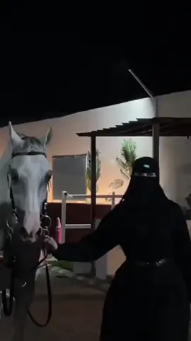 ما شاء الله تبارك الله #اكسبلور #مربط_العدل_الطائف #الواصلية #الطائف #اكسبلورexplore #fyp 