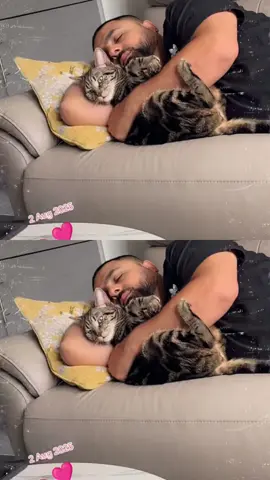 #lovemycat🫶🤩🥹😘#tiktokviral_uk🇬🇧 #forupage#freepalestine🇵🇸❤️ 