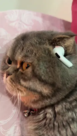 Adını unuttum ama acısını ezbere biliyorum… ❤️‍🩹 #bademiniz  #senidüşündüm #iyigeceler #kesfetteyiz #fyppppppppppppppppppppppp  