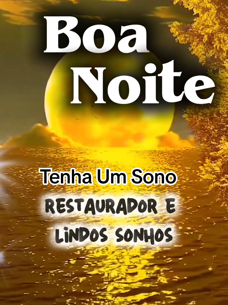 Boa Noite!🌙  Tenha Lindos Sonhos! #Boanoite #abencoadanoite #pazdosenhor #lindossonhos #otimanoite 