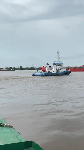 #pelautmuda #pelautpunyacerita #pelautmudasulawesi #pelautindonesiatiktok #pelautindonesia 