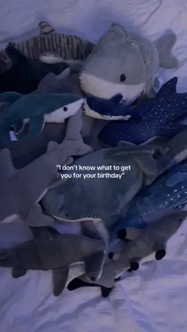 SHARKSSS // 🦈🫧 // #shark #sharks #relatable #fyp #foryoupagee 