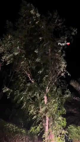 Insan barbad hojata hy💔#onesidelove #firstlove #brokenheart #viraltiktok #foryoupage #viraltiktok #viral_video #foryou #support #videoviral 