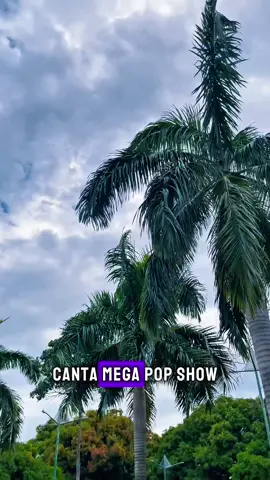 🎶MEGA POP SHOW UNIVERSO🎶#compartilhar #lendadobregapará #carabao #marcantes_do_pará #fypp #turiaçu #bregabregoso #bregaromantico #bregarecife #manausnotiktok #bregapernambucano #saodomingosdocapimacapitaldapororoca #saoluizmaranhao #saoluizmaranhao #frutosensusal #frutosensusal #marcantes #marcantes_do_pará #LIVEIncentiveProgram #GenuineInteractionMatters #PaidPartnership 