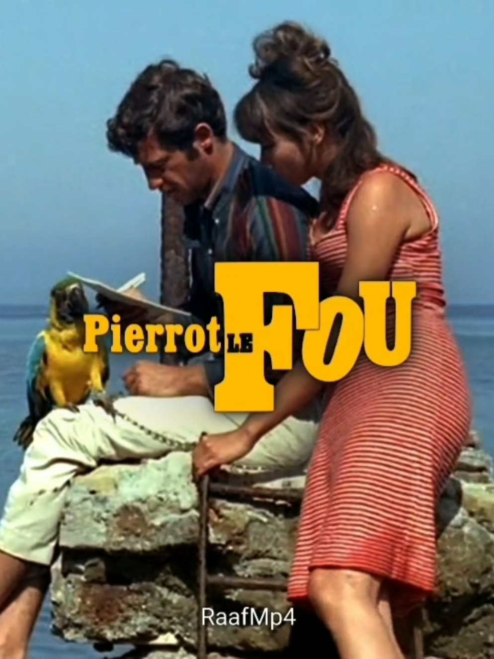 Pierrot le Fou || #pierrotlefou #annakarina #film #cinema #frenchnewwave #fyp 