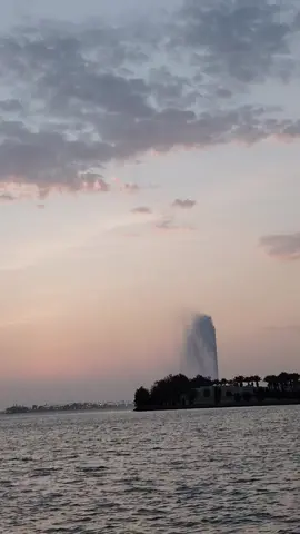 #جده..جده.. جده..... 