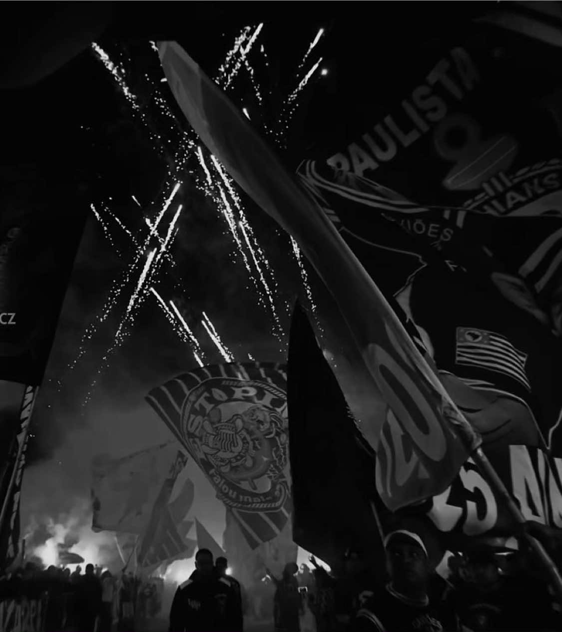 aceso liberado as quartas de final da copa do brasil. 🫡 #fyp #sccp #corinthians 