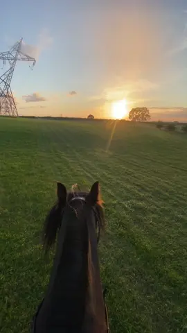 Chasing sunsets 🌅 #sunsets #horsetok 