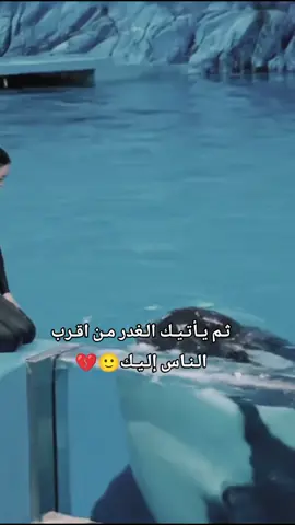 #ayos  بشكل عام ما تثقو بحد أن كان إنسان أو حيوانات 👌💔