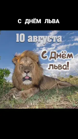 #рекомендации❤️❤️❤️ #fyp #лвюев