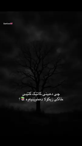 چەند تایبەتە خوایە 🥹😍🌷#tiktok #foryou #foryoupage #fypシ #fypシ゚viral @TikTok 