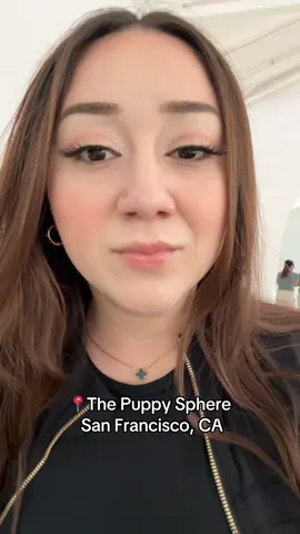@Puppy Sphere 🤍 #thepuppyspheresf #thepuppysphere 