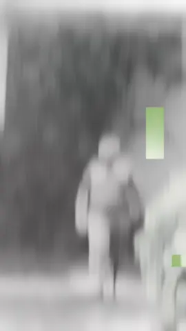 Mehdi hassan sahb #pakistan #day #trending #foryou #fypシ゚viral #mood #follow 