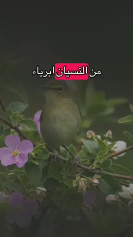 #حكم #صباح_الخير 