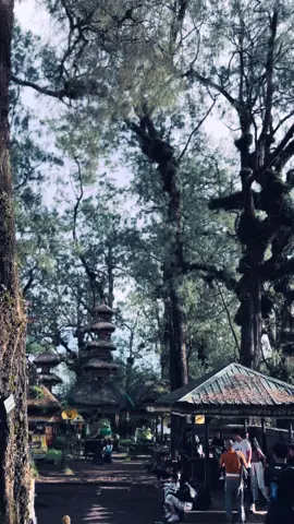 #fyp #catur #mangu #puncak #gunung #2096mdpl 