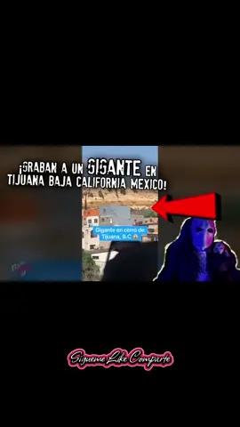¡Graban a un gigante en Tijuana, Baja California, México!#GenuineInteractionMatters #LIVEStory #terror #terrortiktok #estacionparanormal #LIVEIncentiveProgram #PaidPartnership 