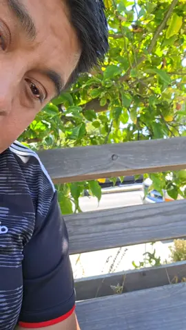 no quiso hacer una colaboracion  el mishi 🐱#dameungrr 