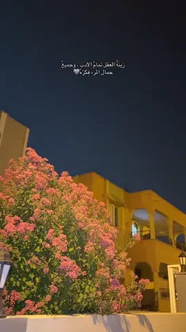 اتفق✨#fypシ #اقتباسات 