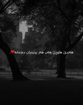 h4ndi haure🌚♥️#fyp #d4shtii1 #dashty_black #just_edit #foryoupage 