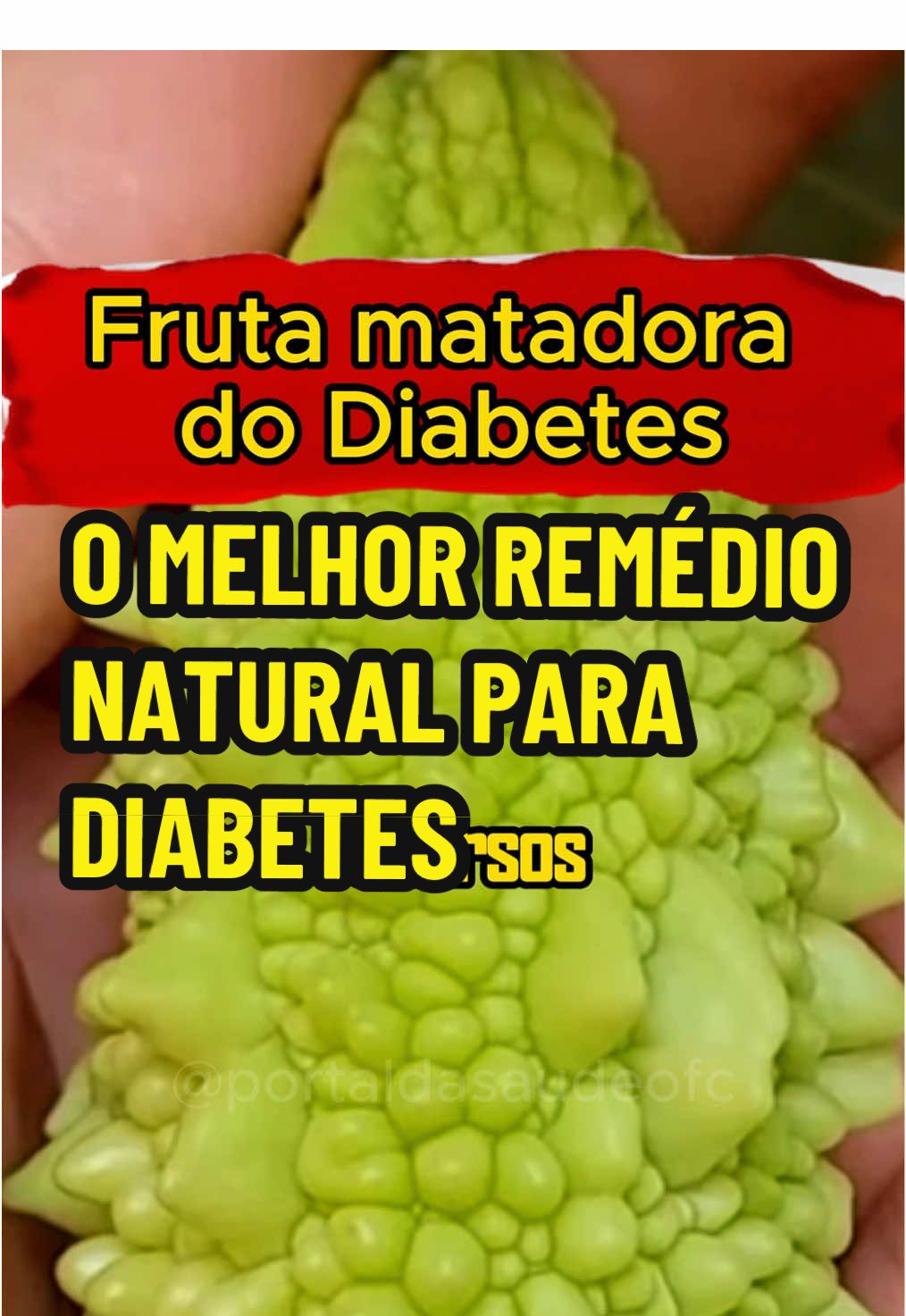 O MELHOR REMÉDIO NATURAL PARA DIABETES  #saude #saudavel #diabetestipo2 #diabeticos #diabetes #acucar #doce #comer #comida 