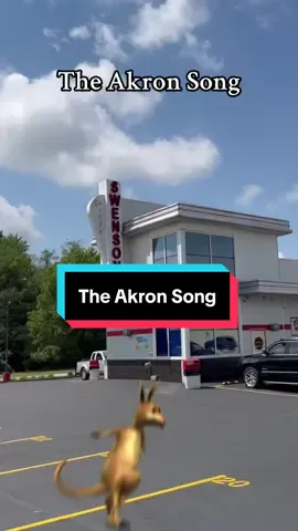 The Akron Song, a song about Akron Ohio #akron #ohio #akronohio 