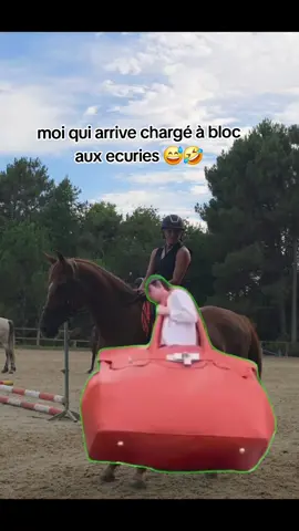 dites moi que je suis pas la seule 😅😅🤣🤣 #fyp #foryoupage❤️❤️ #horse 