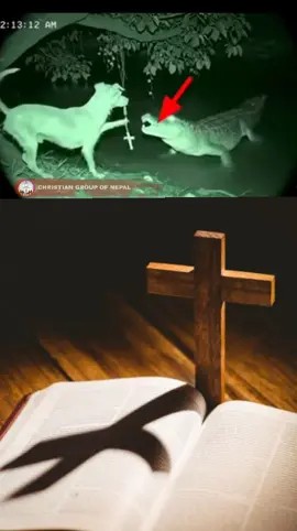 #creatorsearchinsights  #christiantiktok #jesuslovesyou #viralvideo #amen 