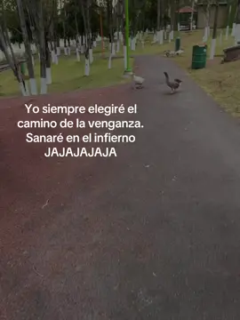 Pues ni modo #parati #fyp #viral #humor #contenido #bromita🤭 