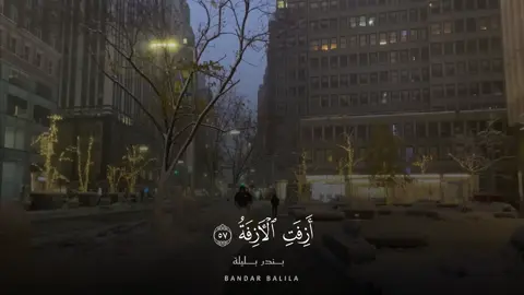 #بندر_بليلة #سورة_النجم 