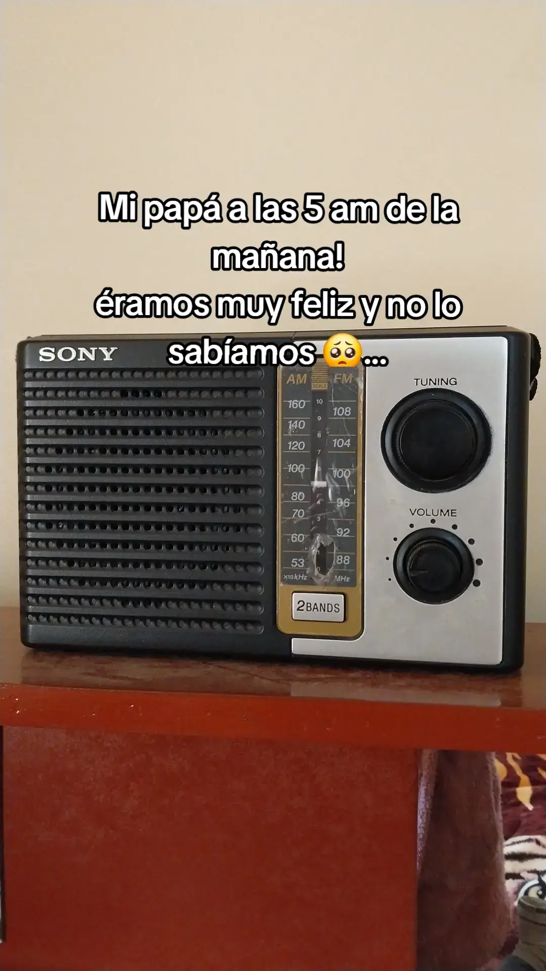 #música #1996 #despertar #papá #🫶#