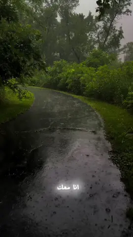 #Love #fight #quotes #algeria #merry